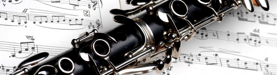 Ensemble départemental de clarinettes © DR